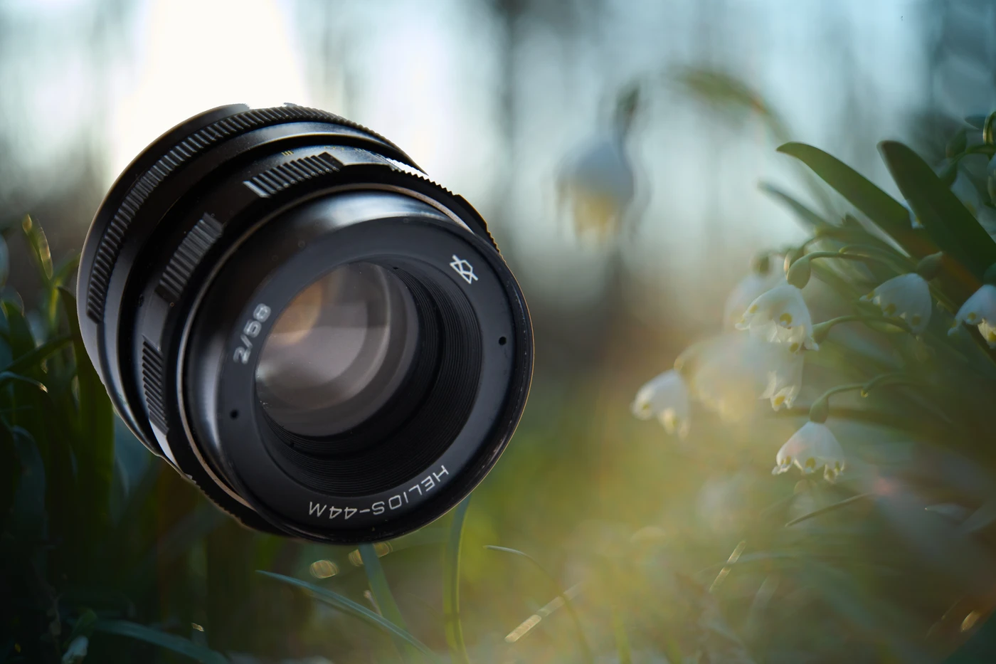 Helios 44m: the best cheap lens for beautiful bokeh