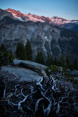 sequoia-national-park-high-sierra-trail-14